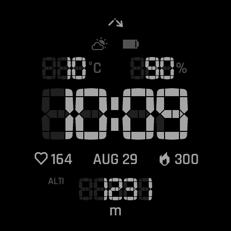 Vertical Segment — Full AMOLED AOD retains all six fields and side information.